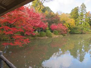 東屋から眺める紅葉