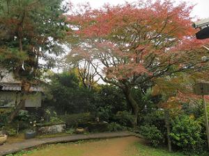 境内入り口の紅葉