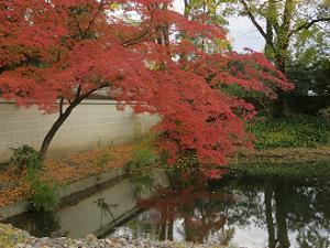池のほとりの紅葉