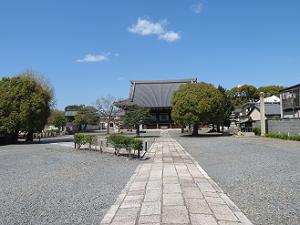 妙覚寺の境内