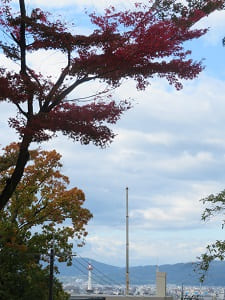 紅葉と京都タワー