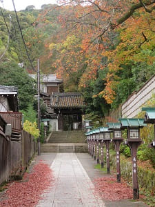 長楽寺の参道の紅葉