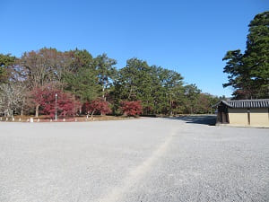 京都仙洞御所付近の紅葉