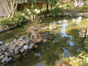 心鏡の池