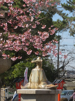 豊臣秀吉と蜂須賀桜