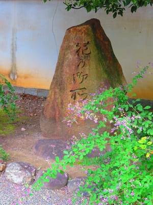 花の御所の石碑と萩
