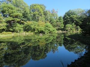 蒼龍池に映る青空と木々