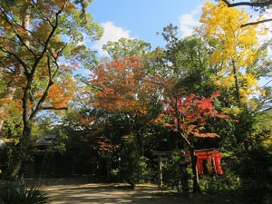 福壽稲荷神社と紅葉