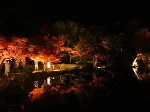 印月池のほとりの紅葉