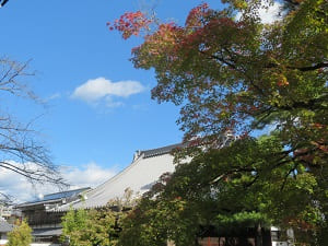 元山大師堂の屋根と紅葉