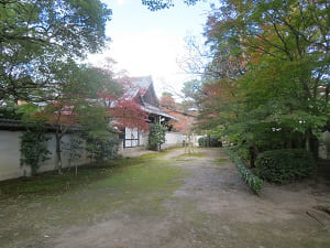 源氏庭の東側