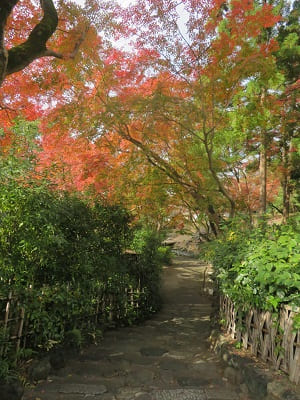 石段と紅葉