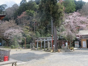 境内の風景