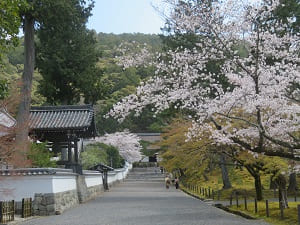 春の南禅寺