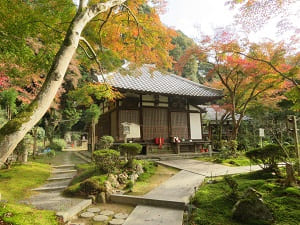 秋の清閑寺