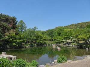 初夏の円山公園