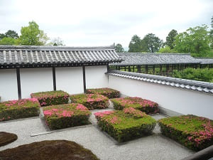 東福寺のサツキ