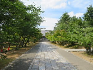 仁和寺の参道