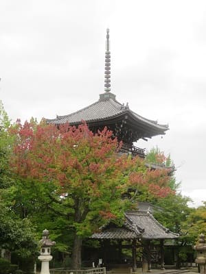 花の木と三重塔