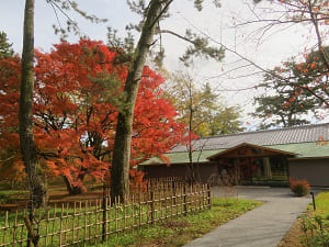 清和院休憩所と紅葉