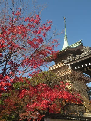 祇園閣と紅葉