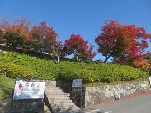 高台寺の駐車場付近の紅葉