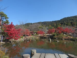 池の周囲の紅葉