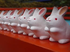 ウサギの大群