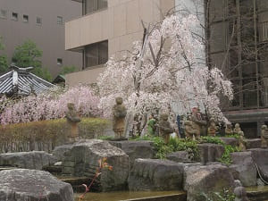 池と枝垂れ桜