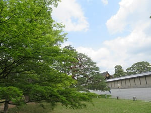 京都御所の塀と新緑