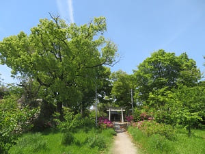 淀城跡公園の入り口