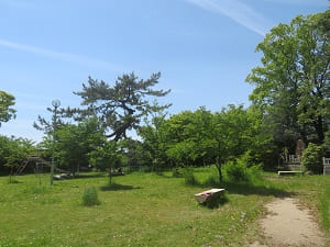 公園内の風景