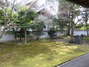 豊光寺の庭園