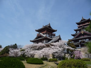 春の伏見桃山城