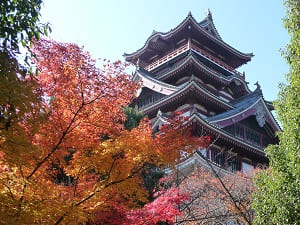 秋の伏見桃山城