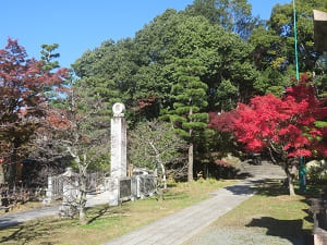 金堂前の紅葉