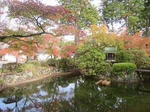 池と紅葉