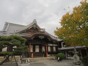 蜂須賀桜と御影堂