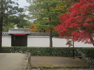 庭園の門と紅葉