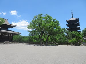 金堂（左）と五重塔（右）