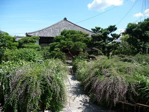 常林寺