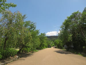 円山公園