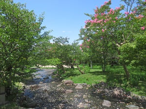 小川と夏空