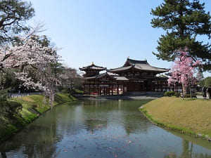 春の平等院