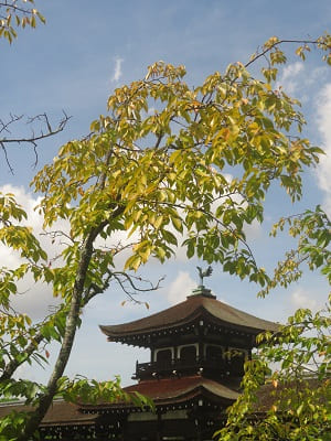 泰平閣の屋根