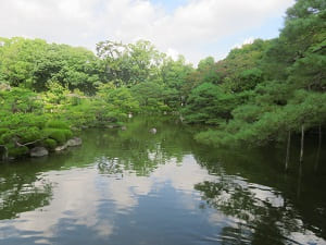 栖鳳池と木々の緑