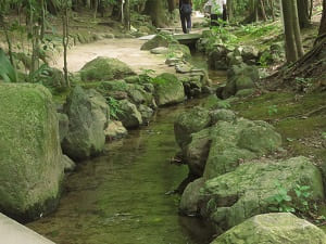 遊歩道沿いの小川