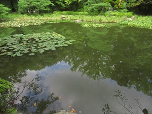 白虎池に映る空