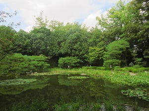 夏のような景色