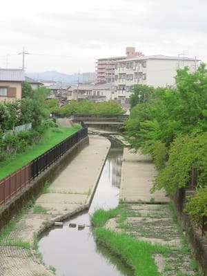 見下ろす淀水路